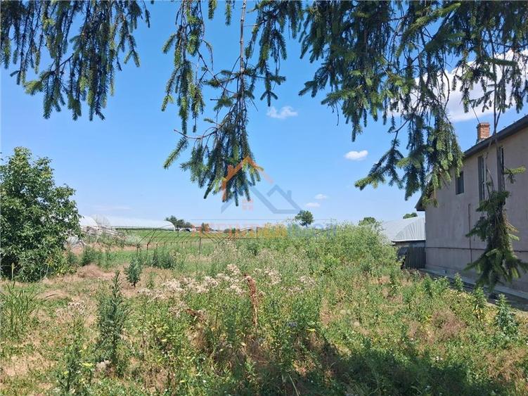 Teren Construcții intravilan de 3524 mp, în Sintești