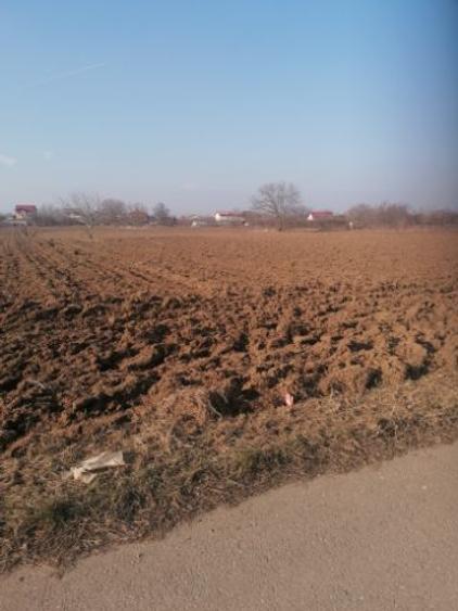 Teren intravilan de 7298 mp, în Ciorogârla