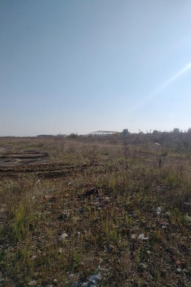 Teren Construcții intravilan de 25160 mp, în Glina