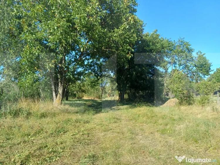 Casă cu 3 camere cu Teren 7600 Mp în Central