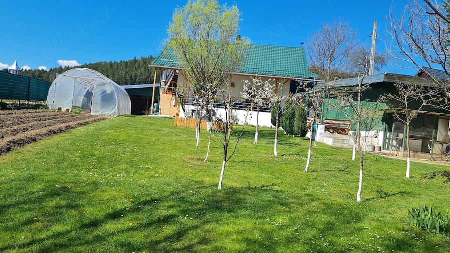 Casă cu Teren 750 Mp în Frumosu