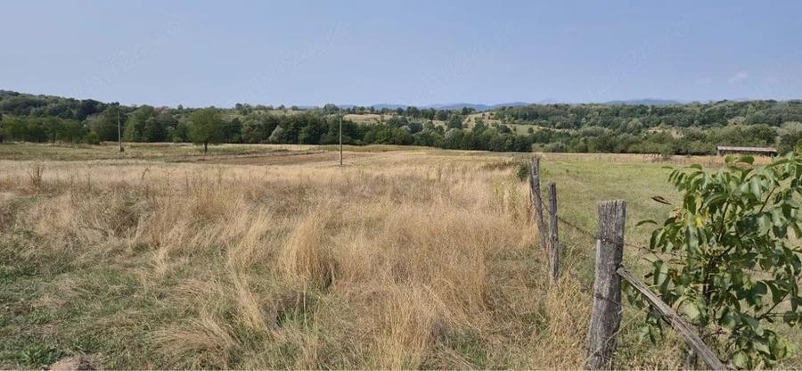 Teren de 4600 mp, în Bumbești-Pițic