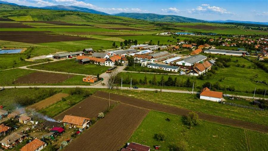 Teren Construcții intravilan de 25391 mp, în Boroșneu Mare