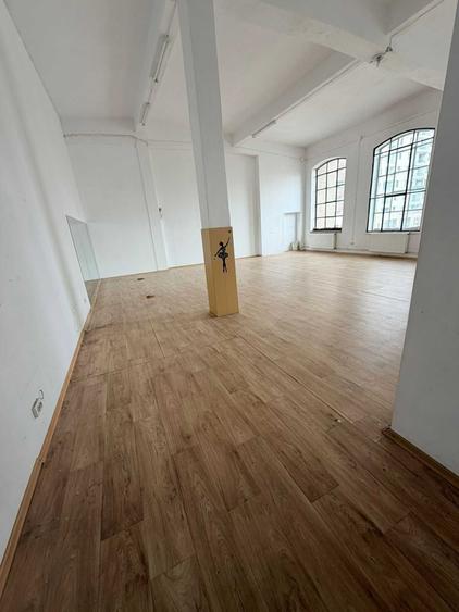 Spatii de inchiriat, str Logofatul Tautu 68A, 80-450mp (pret pe mp) - 4