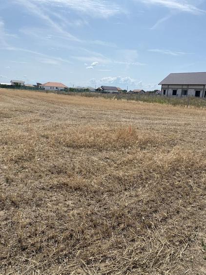 Teren de 500 mp, în Livada de Bihor