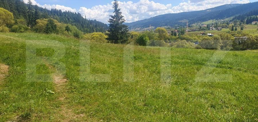 Teren Construcții intravilan de 7362 mp, în Vatra Dornei