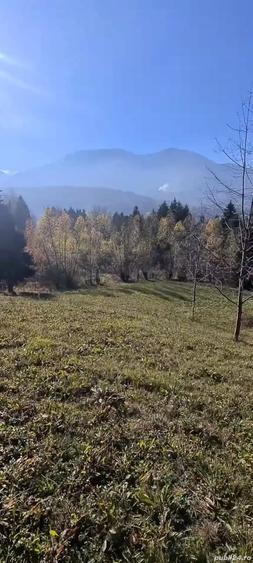 Teren de 3900 mp, în Sud