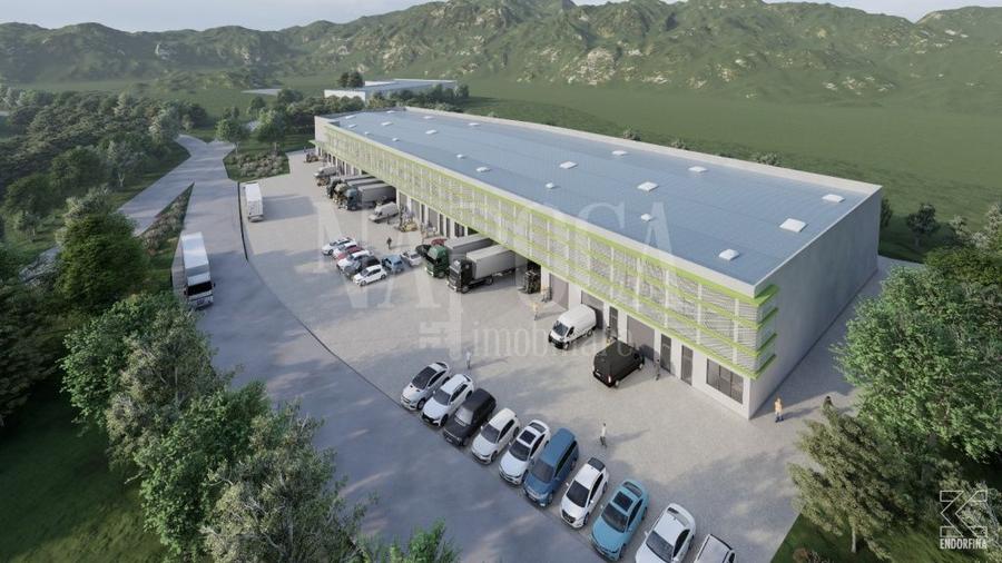 Teren Construcții intravilan de 9900 mp, în Sânnicoară