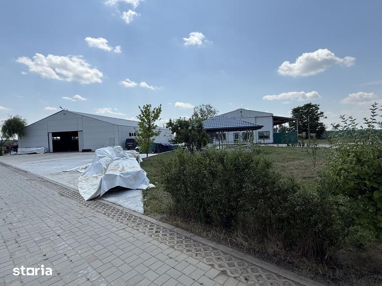 Spațiu comercial, de 30,000 mp, în Ghimpați