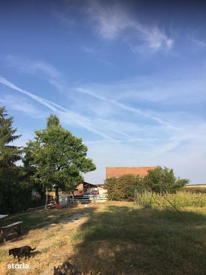 Teren de 49000 mp, în Iancu Jianu