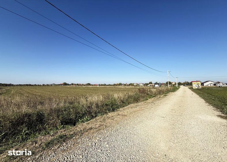 5000 mp. Teren intravilan - Les - IMOBIHOR - 2