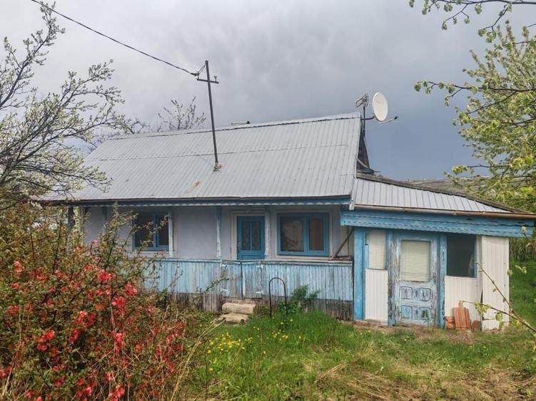 Teren Construcții intravilan de 3160 mp, în Poiana lui Alexa