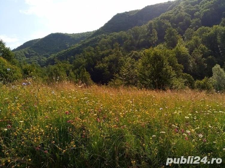 Teren de 4500 mp, în Sud