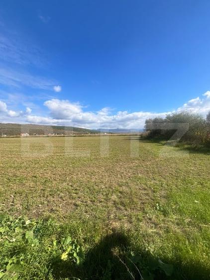 Teren agricol extravilan de 25800 mp, în Viișoara
