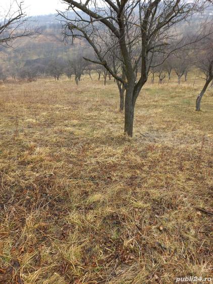 Casă în Dumitrești
