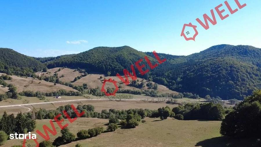 Teren de 7766 mp, în Vama Buzăului