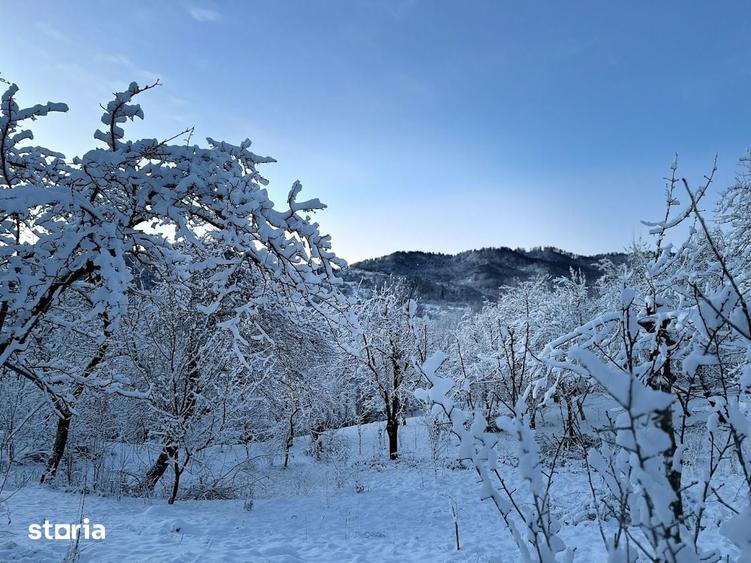 Teren de 3600 mp, în Șotrile