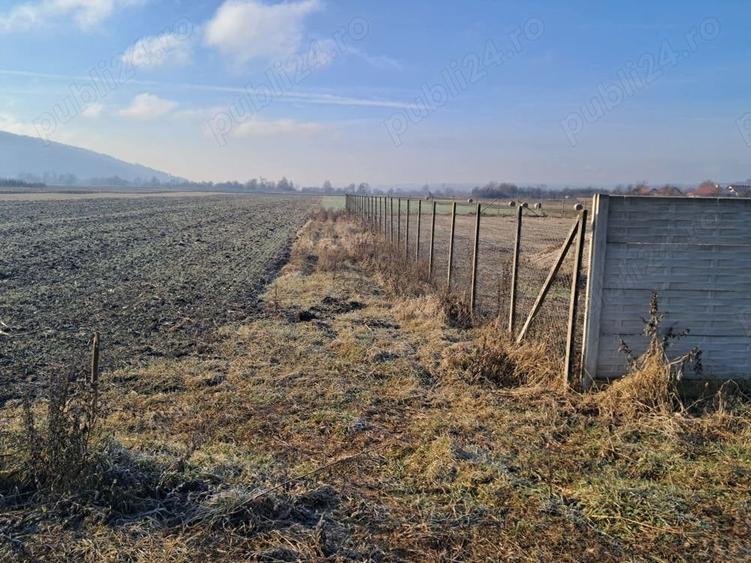 Teren de 8700 mp, în Livada (Iclod)