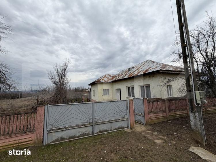 Casa pe parter, 115 mpc, 4505 mp teren, zona Bogea-Almaj - 18