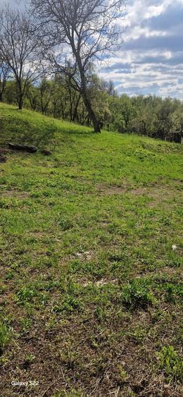 Teren de 1536 mp, în Ceuaș