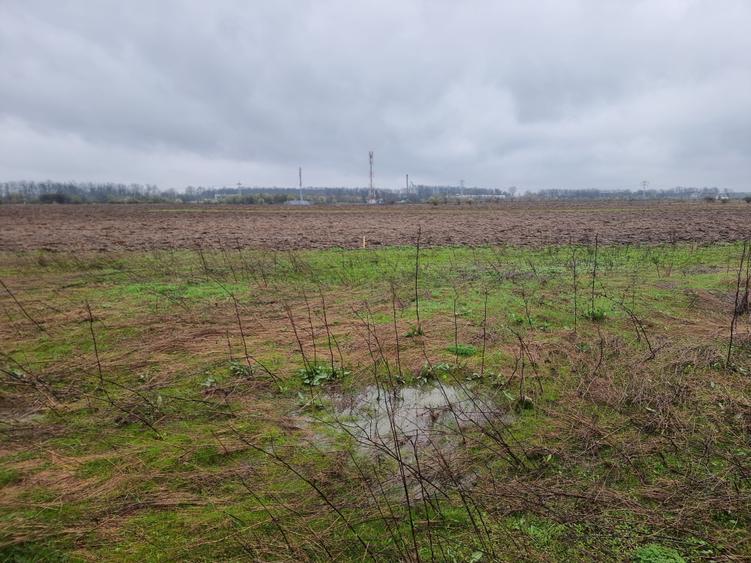 Teren Construcții intravilan de 400 mp, în Tărtășești