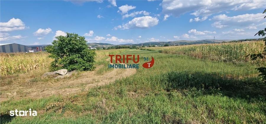 Teren intravilan construibil de 5.900 mp, zona industriala, ?oseaua de - 7