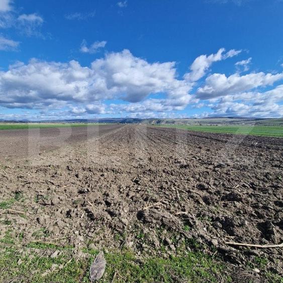 Teren agricol extravilan de 15000 mp, în Bod