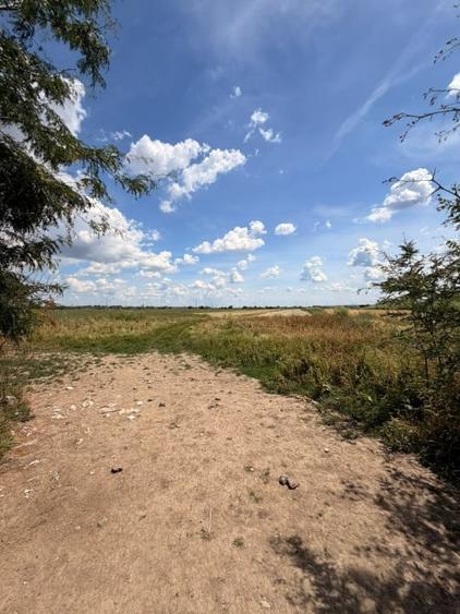 Teren agricol extravilan de 3800 mp, în Exterior Nord