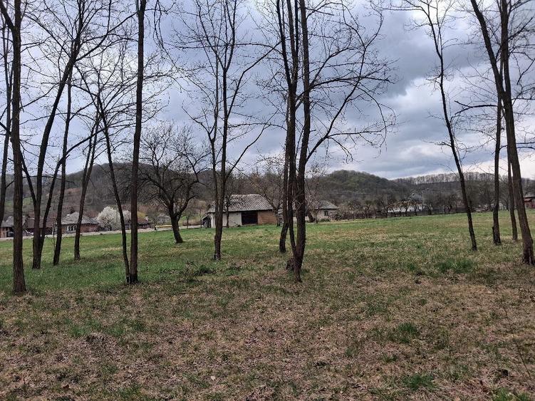 Teren de 5500 mp, în Făurești