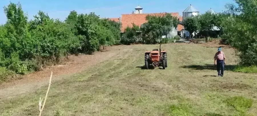 Teren de 1720 mp, în Coșteiu