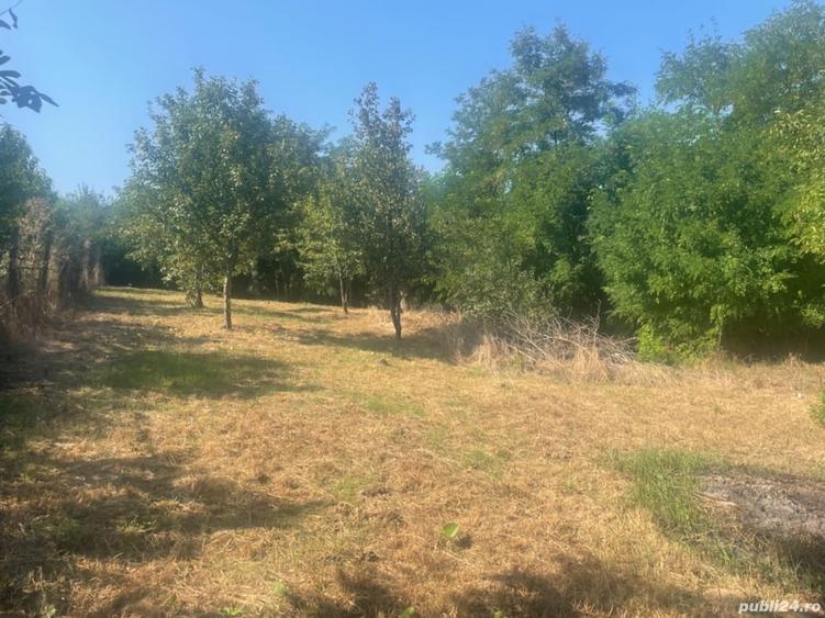Teren de 1300 mp, în Central
