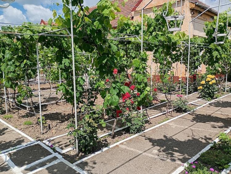 Casă cu 4 camere cu Teren 2800 Mp în Șipet