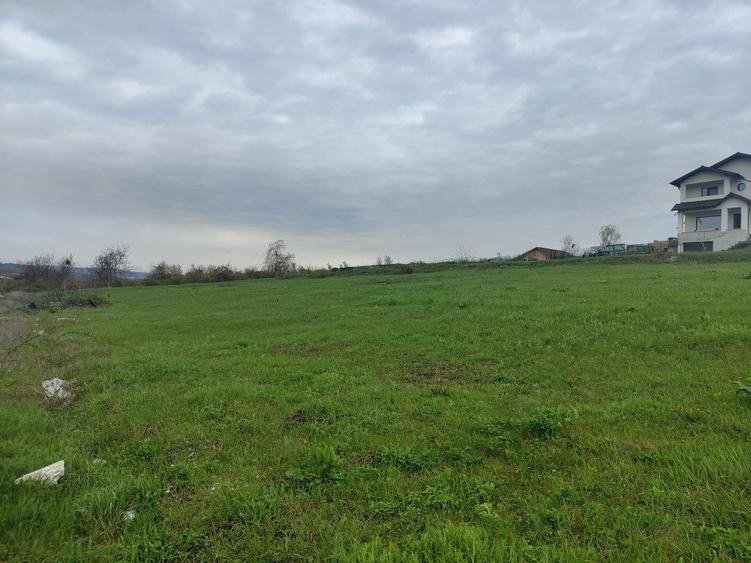 Teren de 3600 mp, în Bucium