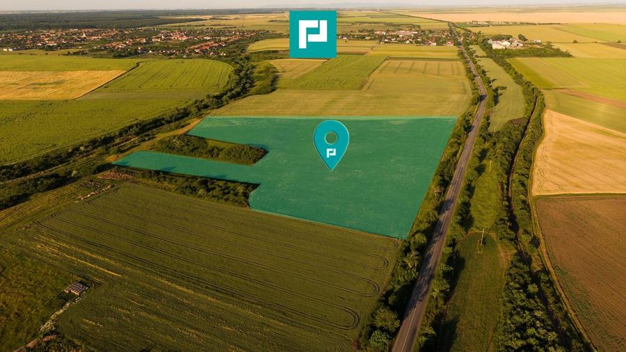Teren agricol extravilan de 42200 mp, în Secusigiu