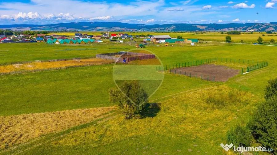COMISION 0% | Teren 500mp Bod / Strada Mihai Eminescu - Bod (Brasov) - 2