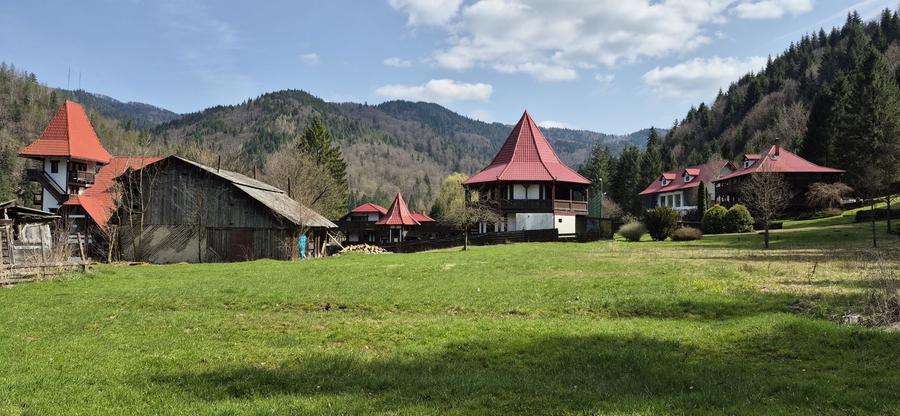 Teren de 4096 mp, în Tarcău