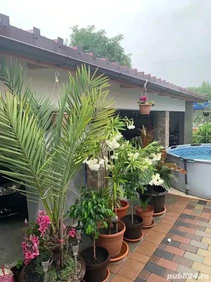 Casă cu 4 camere cu Teren 200 Mp în Gherla