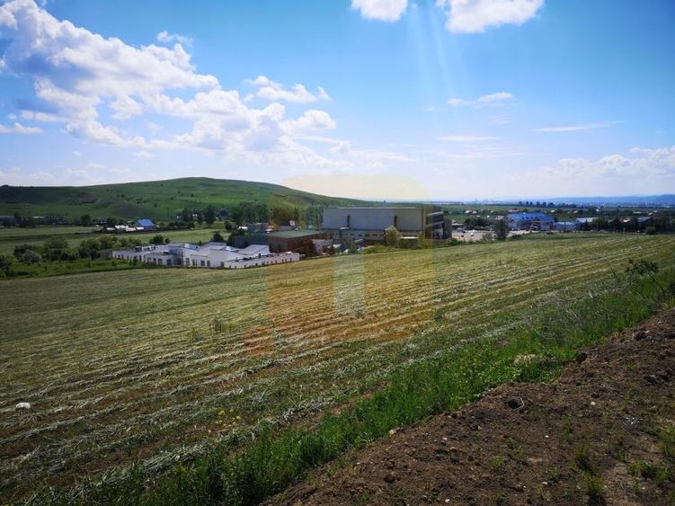 Teren Construcții intravilan de 650 mp, în Calea Romanului