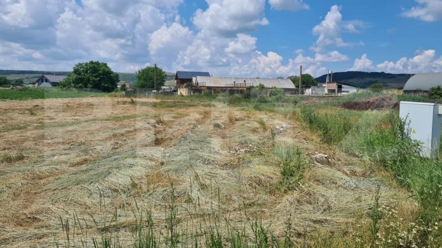Teren de 3600 mp, în Jucu
