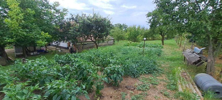 Casă individuală cu 3 camere cu Canalizare în Cornești