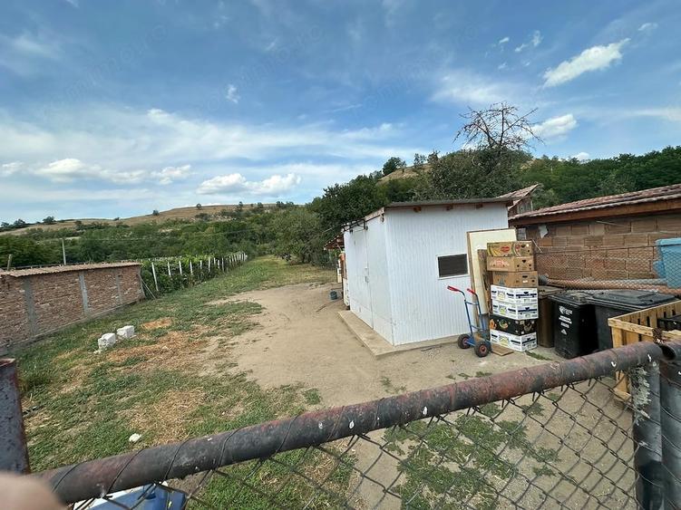 Casă cu Teren 15000 Mp în Șeica Mare