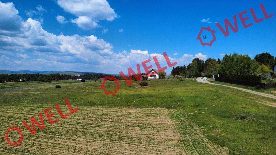 Teren agricol extravilan de 2900 mp, în Reci