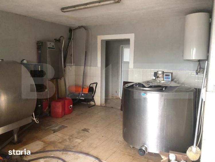 Teren de 15000 mp, în Odoreu