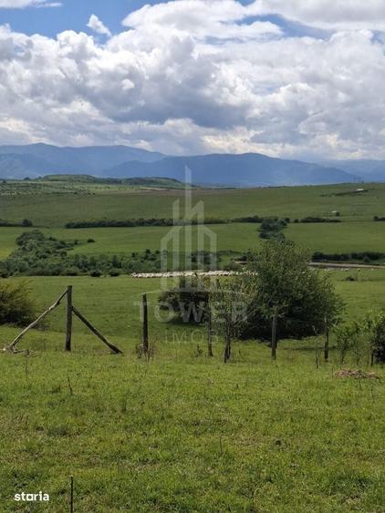 Spațiu comercial, în Daia