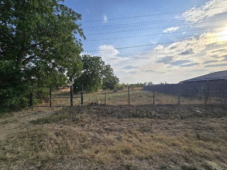 Teren de 6650 mp, în Ciocaia