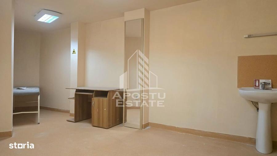 Spațiu comercial, de 250 mp, în Iosefin