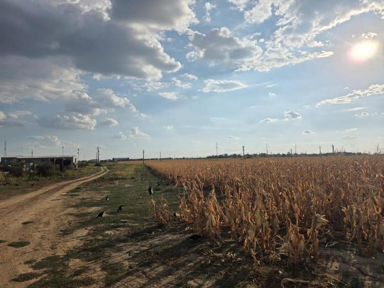 Teren intravilan în Nord-Est