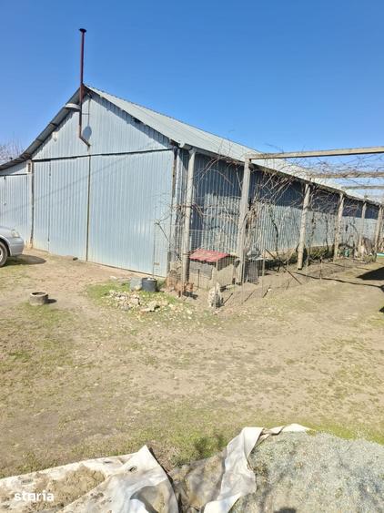 Casă cu 8 camere cu Teren 4000 Mp în Vâlcelele