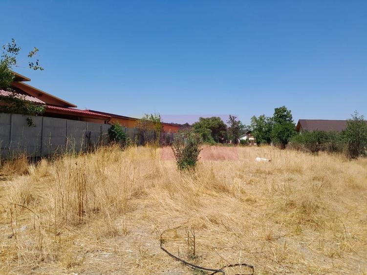 Teren Construcții intravilan de 1800 mp, în Teișori