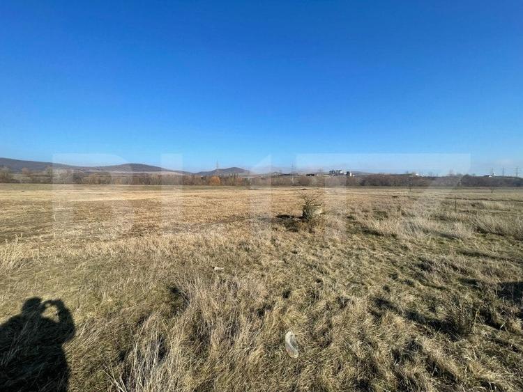Teren Construcții extravilan de 5000 mp, în Bărăbanț